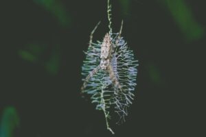 Infectious Diseases in Conflict Zones Challenges for Prevention and Medical Response