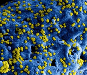 Personal Hygiene Habits That Significantly Reduce the Risk of Common Infections