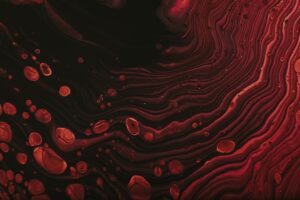 The Economic Cost of Infections How Disease Outbreaks Cripple National Economies
