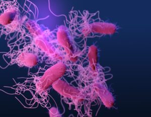 The Global Vaccine Distribution Gap and Its Effect on Controlling Infections Worldwide
