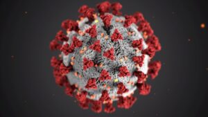 Understanding Host-Pathogen Interactions to Better Prevent and Treat Infections
