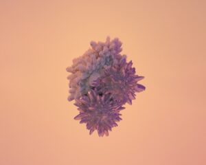 Urbanization and the Rising Threat of Infectious Disease Transmission in Megacities